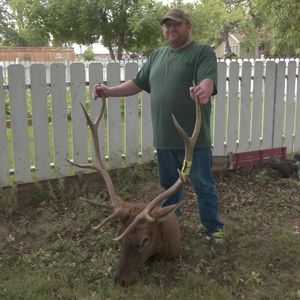 Meet your Posher, Wade